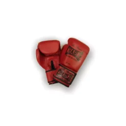 Gants De Boxe Charlie Blood