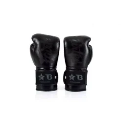 Gants Muay Thai Fairtex BGVG1 (noir) -Magasin D’Équipement D’Arts Martiaux 11900 large default
