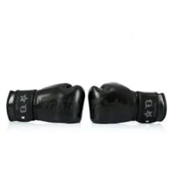 Gants Muay Thai Fairtex BGVG1 (noir) -Magasin D’Équipement D’Arts Martiaux 11901 large default