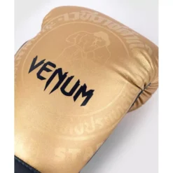 Venum Muay Thai Gloves Rajadamnern (sand) -Magasin D’Équipement D’Arts Martiaux 12668 large default