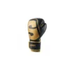 Gants De Muay Thai Shark SKF3.0 (noir/or)
