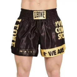 Pantalon De Kick Boxing AB966 Leone Noir