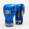 Gants De Boxe DNA Leone GN220 Bleu