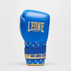 Gants De Boxe DNA Leone GN220 Bleu -Magasin D’Équipement D’Arts Martiaux 13876 large default