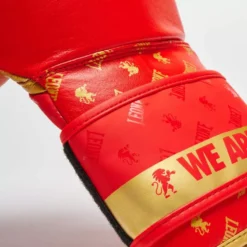 Gants De Boxe DNA Leone GN220 Rouge