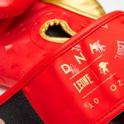 Gants De Boxe DNA Leone GN220 Rouge -Magasin D’Équipement D’Arts Martiaux 13887 large default