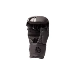 Gants MMA Shark Boxing R2 Noir Mat