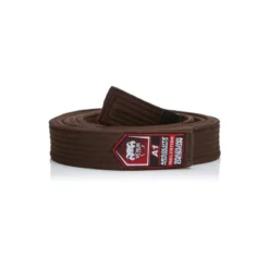 Ceinture JJB Venum Marron