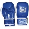 Gants Boxe Charlie Enfants Bat Kid (bleu)