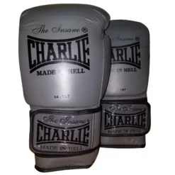 Gants De Boxe Charlie Graphite