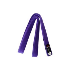 Ceinture JJB Buddha (violette)