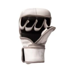 Gants MMA Shark R1 Blanc Gris